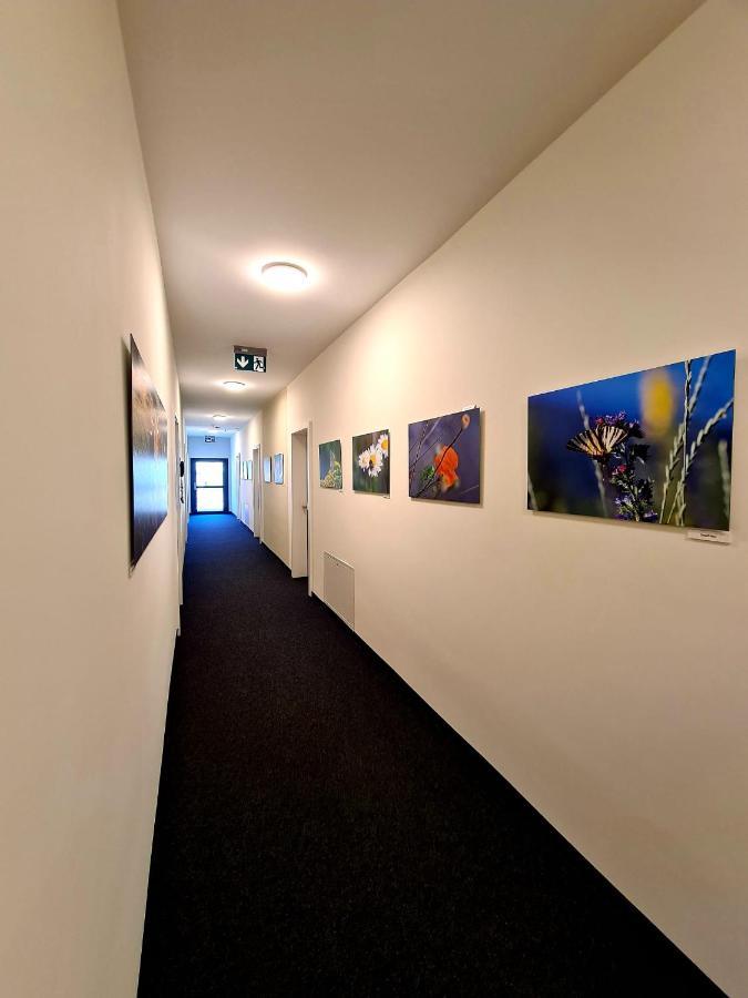 Hotel Roggen Erschmatt المظهر الخارجي الصورة